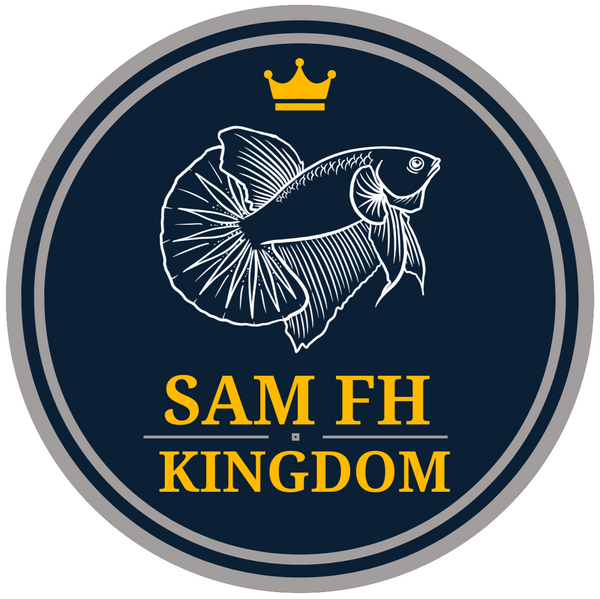 Sam FH Kingdom